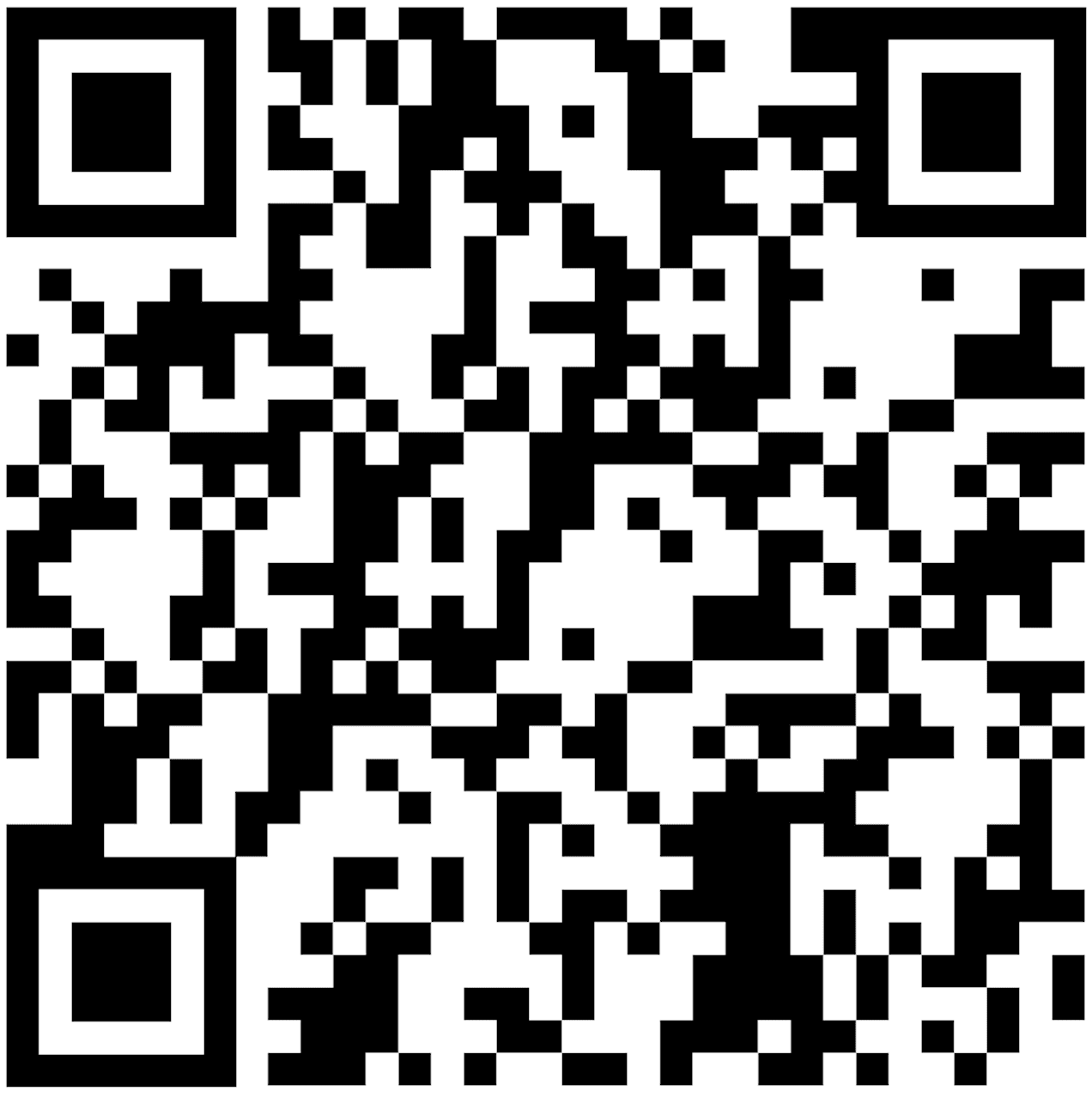 QR code preview